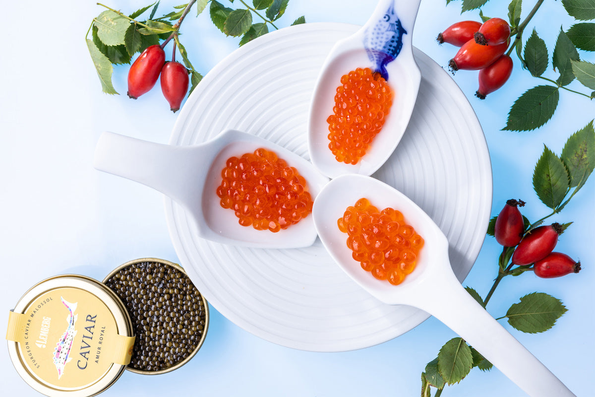 How to Choose Real Premium Caviar: 2025 Expert Guide