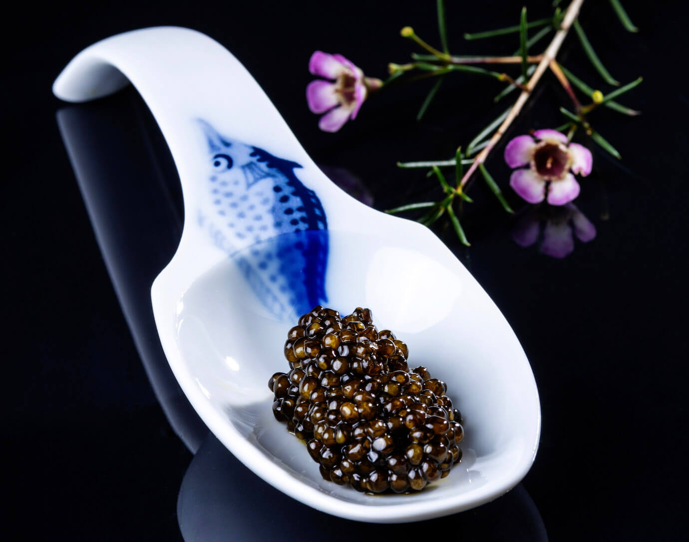 Best Caviar in the World: Top Five Must-Try in 2024