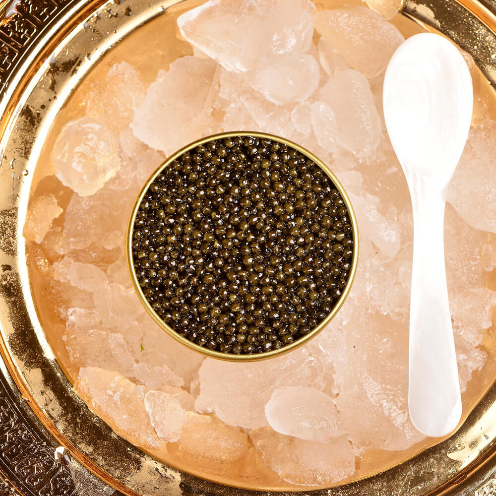 Sturgeon Caviar KALUGA, 100g