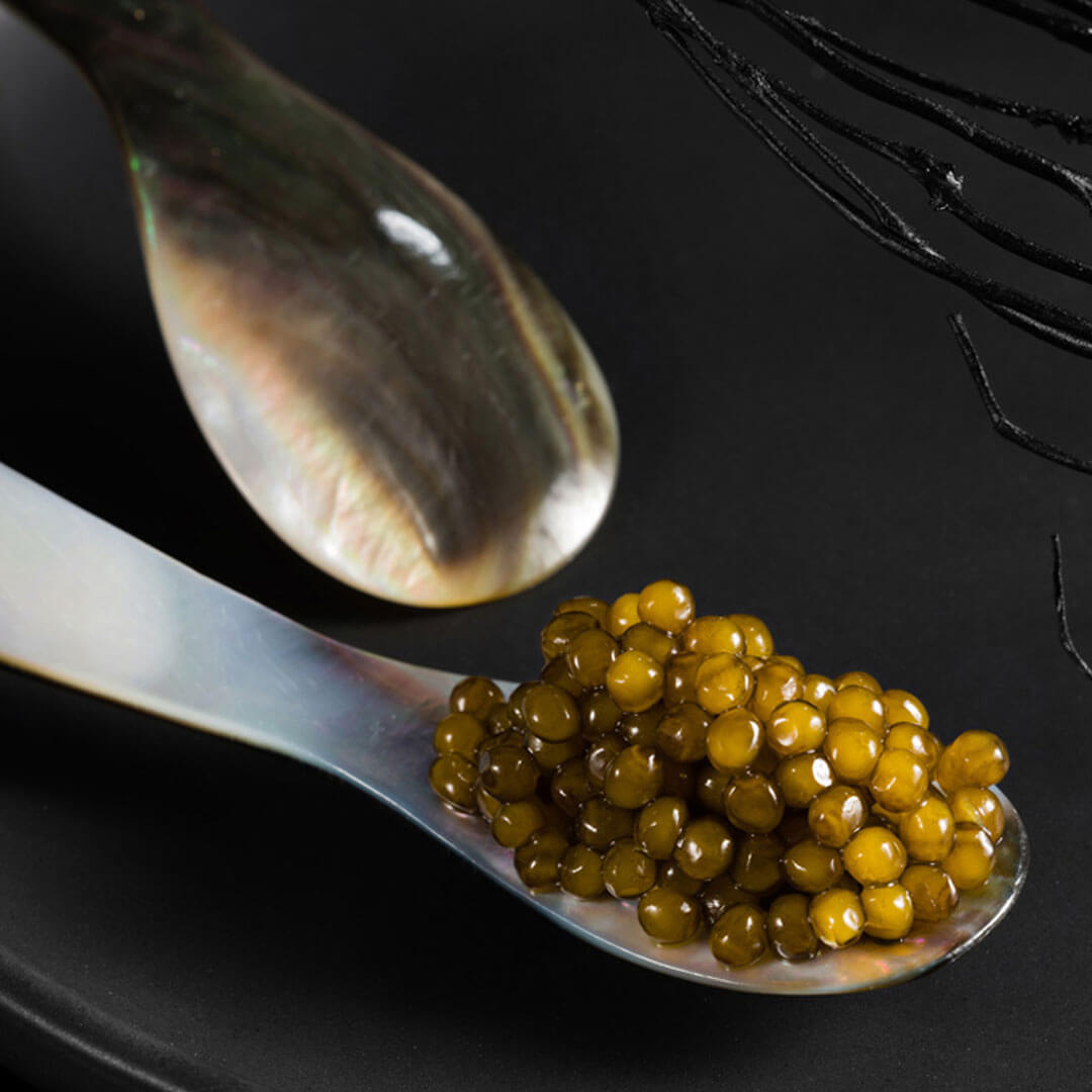 Sturgeon Caviar KALUGA, 2 x 50g